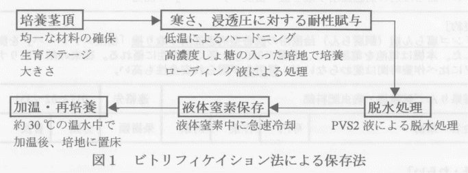 図1.ビトリフィケイション法による保存法