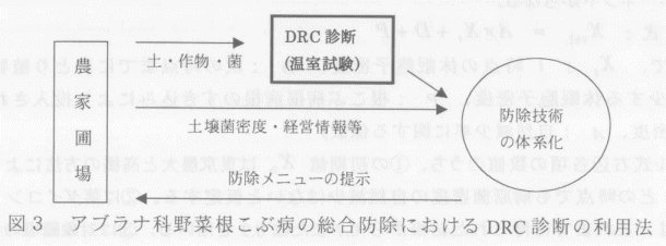 図3.アブラナ科野菜根こぶ病の総合防除におけるDRC診断の利用法