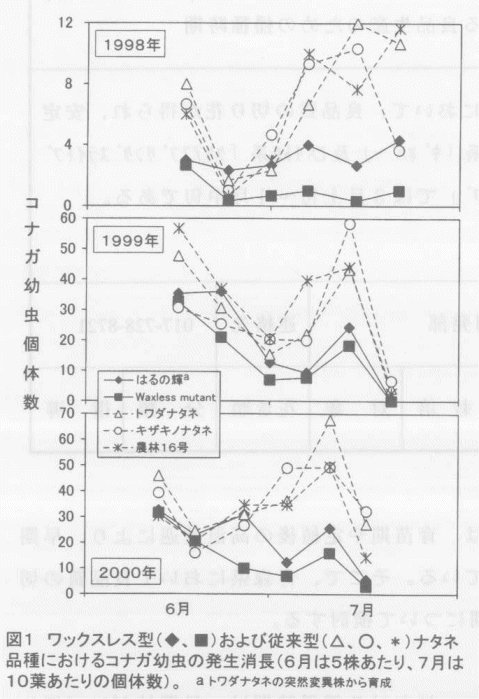 図1.ワックスレス型および従来型ナタネ品種におけるコナガ幼虫の発生消長。