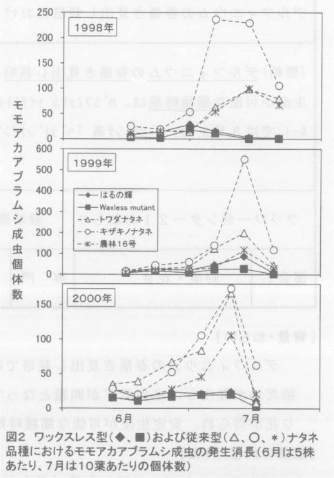 図2.ワックスレス型および従来型ナタネ品種におけるモモアカアブラムシ成虫の発生消長。