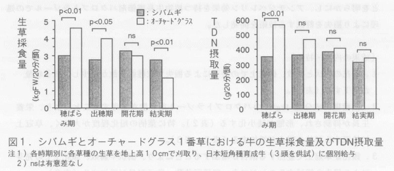 図1.シバムギとオーチャードグラス1番草における牛の生草採食量及びTDN摂取量