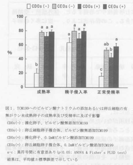 図1.TOM199へのピルビン酸ナトリウムの添加あるいは卵丘細胞の有無がウシ未成熟卵子の成熟率及び受精率に及ぼす影響