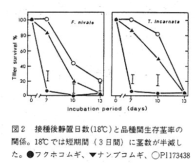 図2. 接種後静置日数(18度C)と品種間生存茎率の関係