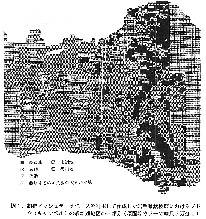 図1.細密メッシュデータベースを利用して作成した岩手県紫波町におけるブドウ(キャンベル)の栽培適地図の一部分