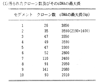 表1. 得られたクローン数及びそのcDNAの最大長