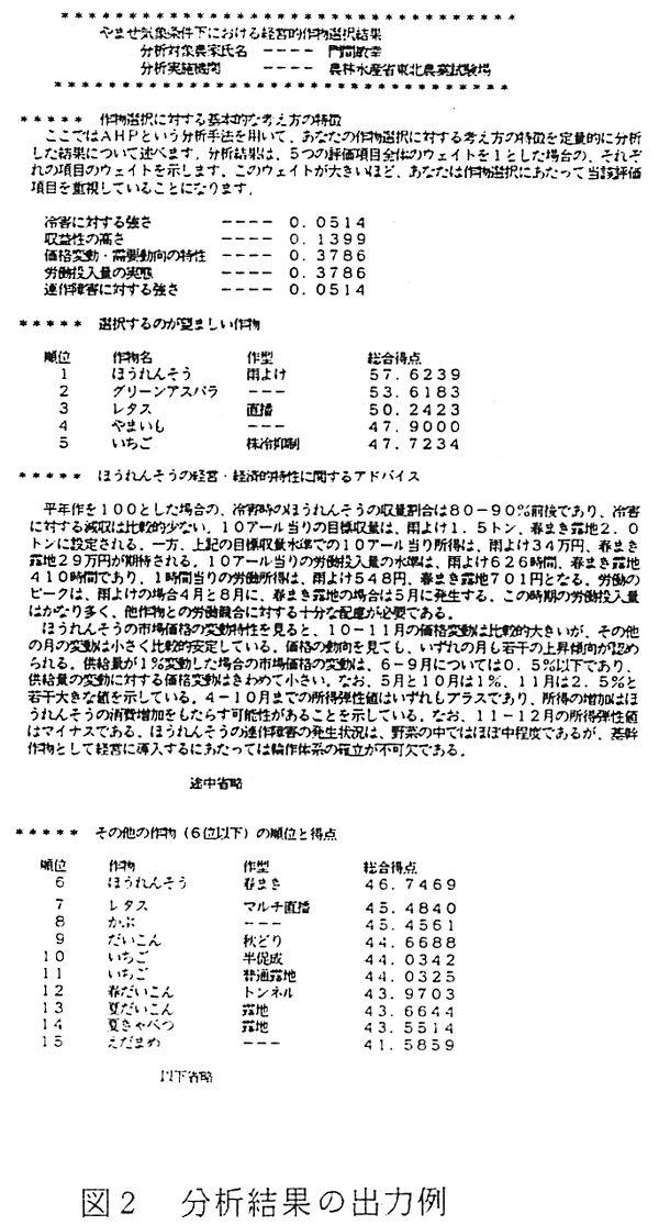 図2. 分析結果の出力例