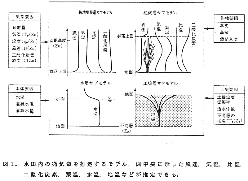 図1.水田内の微気象を推定するモデル。