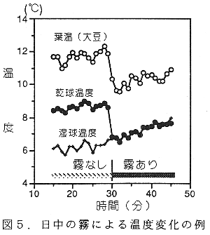 図5. 日中の霧による温度変化の例