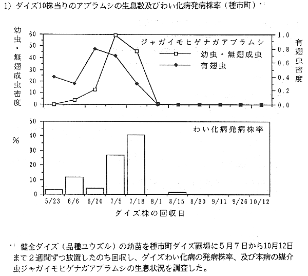 図1.ダイズ10株当りのアブラムシの消息数及びわい化病発病株率