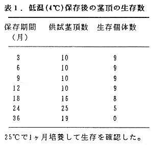 表1.低温(4°C)保存後の茎頂の生存数