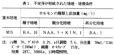 表1 不定芽が形成された培地・培養条件