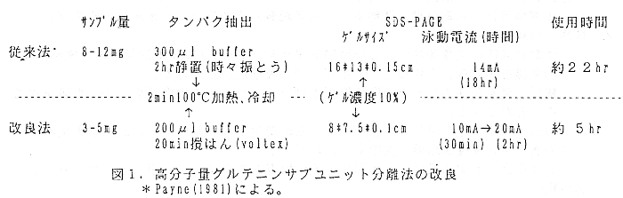 図1 高分子量グルテニンサブユニット分離法の改良