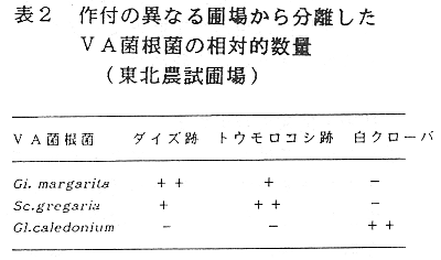 表2 作付けの異なる圃場から分離したVA菌根菌の相対的数量