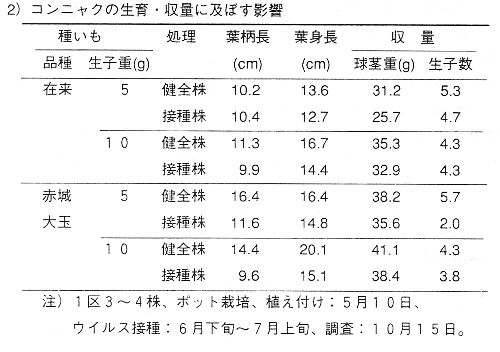 表2 コンニャクの生育・収量に及ぼす影響