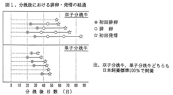 図1 分娩後における排卵・発情の経過