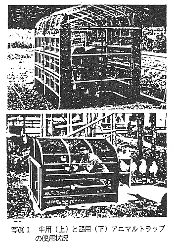 写真1 牛用(上)と鶏用(下)アニマルトラップの使用状況