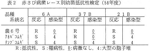 表2 赤さび病菌レース別幼苗抵抗性検定