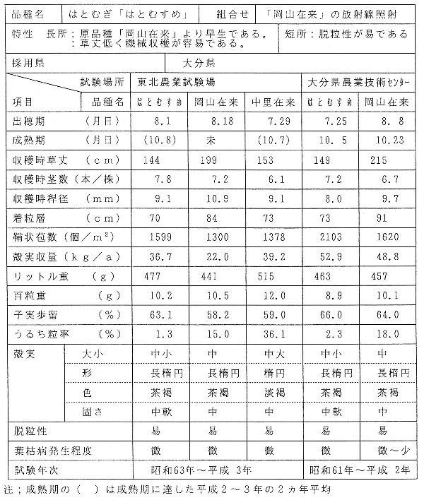 表 「はとむすめ」