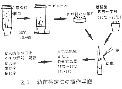 図1 幼苗検定法の操作手順