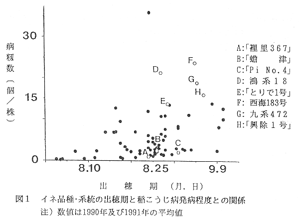 図1 イネ品種・系統の出穂期と稲こうじ病発病程度との関係