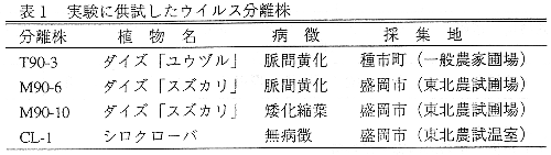 表1 実験に供試したウイルス分離株