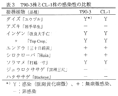 表3 T90-3株とCL-1株の感染性の比較