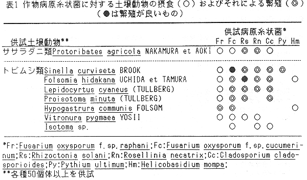 表1 作物病原糸状菌に対する土壌動物の摂食およびそれによる繁殖