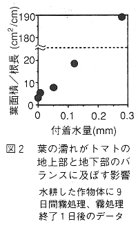 図2 葉の濡れがトマトの地上部と地下部のバランスに及ぼす影響