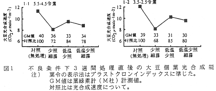 図1 不良条件下3週間処理直後の大豆個葉光合成能