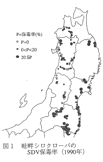 図1 畦畔シロクローバのSDV保毒率