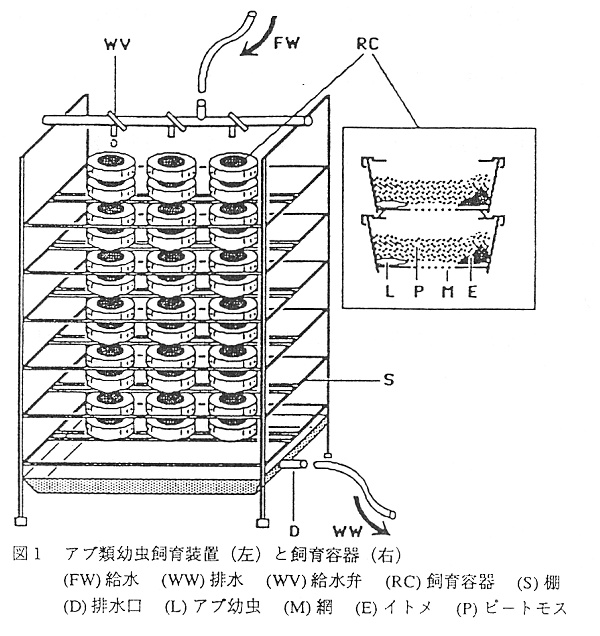 図1 アブ類幼虫飼育装置(左)と飼育容器(右)