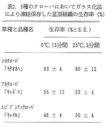 表2 3種のクローバにおいてガラス化法により凍結保存した登頂組織の生存率