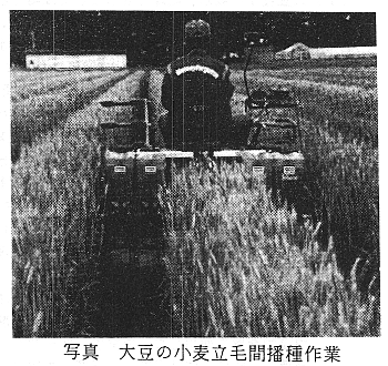 写真 大豆の小麦立毛間播種作業