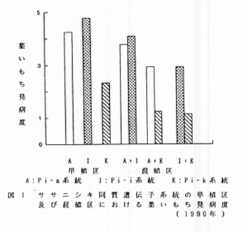 図1 ササニシキ同質遺伝子系統の単植区および混植区における葉いもち発病度