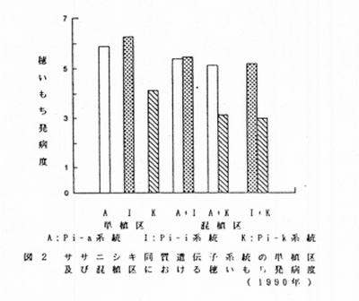 図2 ササニシキ同質遺伝子系統の単植区および混植区における穂いもち発病度