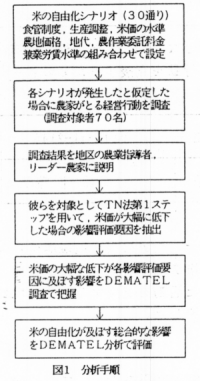 図1 分析手順