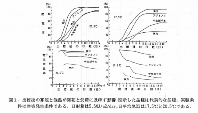 図1 出穂後の寡照と低温が開花と受精に及ぼす影響