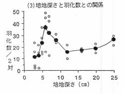 図3 培地深さと羽化数との関係