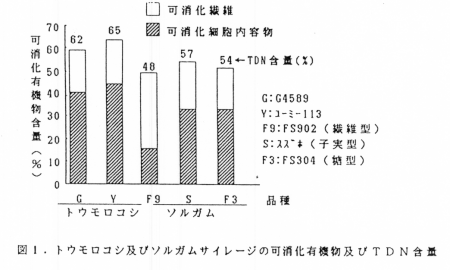 図1 トウモロコシ及びソルガムサイレージの可消化有機物及びTDN含量
