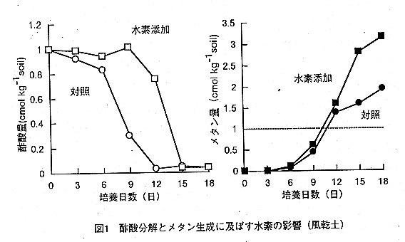 図1.酢酸分解とメタン生成に及ぼす水素の影響