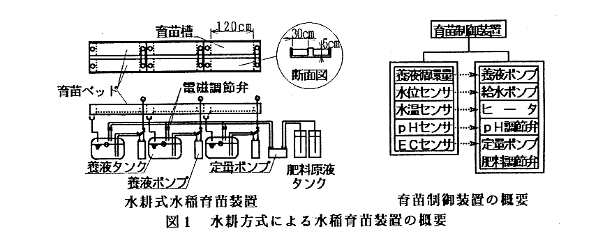 図1.水耕方式による水稲育苗装置の概要