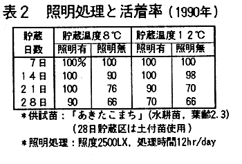 表2.照明処理と活着率