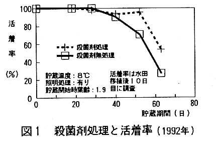 図1.殺菌剤処理と活着率