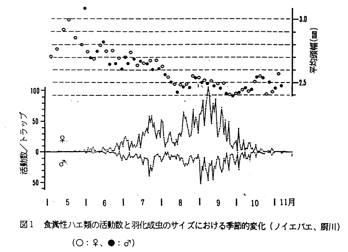 図1.食糞性ハエ類の活動数と羽化成虫のサイズにおける季節的変化