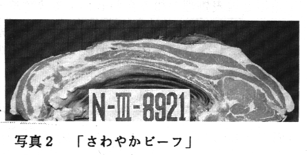 写真2:さわやかビーフ