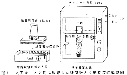 図1.人工ルーメン用に改修した嫌気振とう培養装置概略図