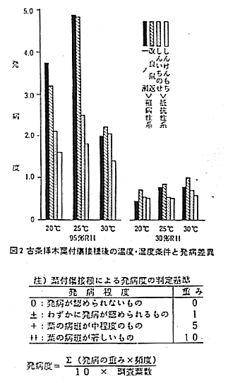 図2.古条挿木葉付傷接種後の温度・湿度条件と発病差異