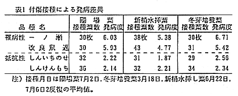 図3.付傷接種による発病差異