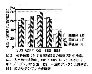 図2 強勢穎果に対する弱勢穎果の酵素活性の比率