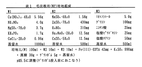 表1 毛状根用(WP)培地組成